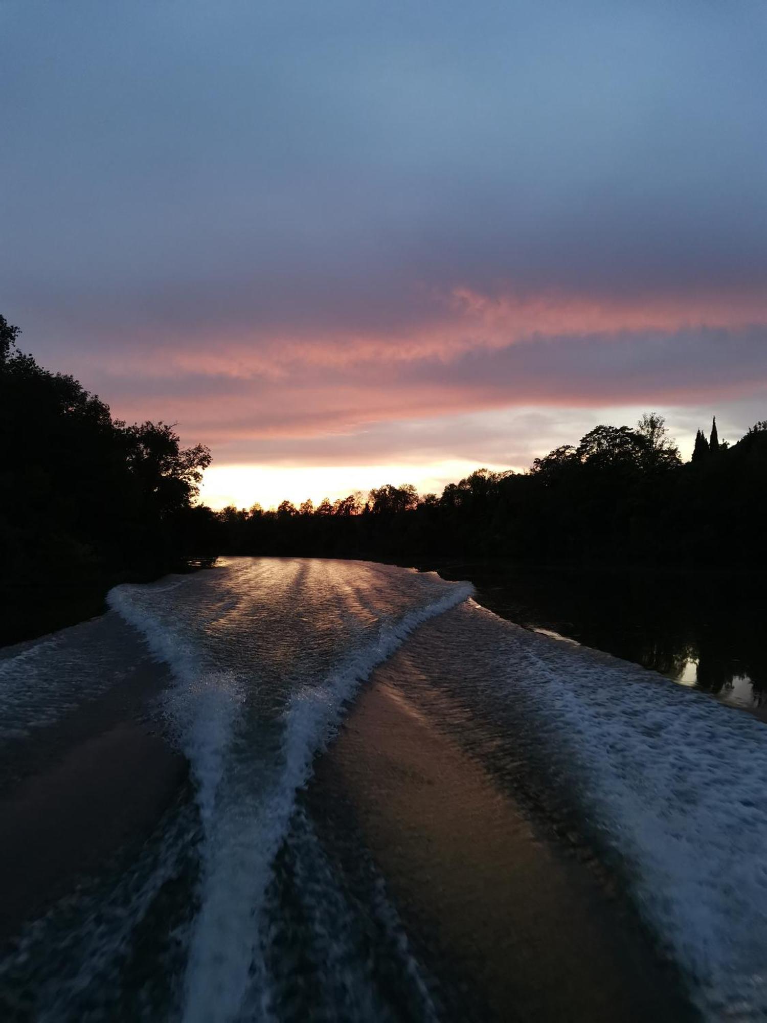 Castelnau-de-Lévis La Planque De L'Eclusierヴィラ エクステリア 写真